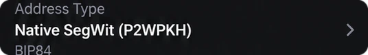 Address type selection in the bit21 wallet showing Native SegWit BIP84